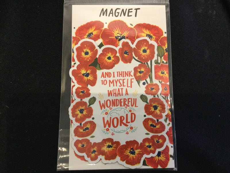 Magnet- What a wonderful world