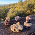 Stone Rock Friends - Crystal pets