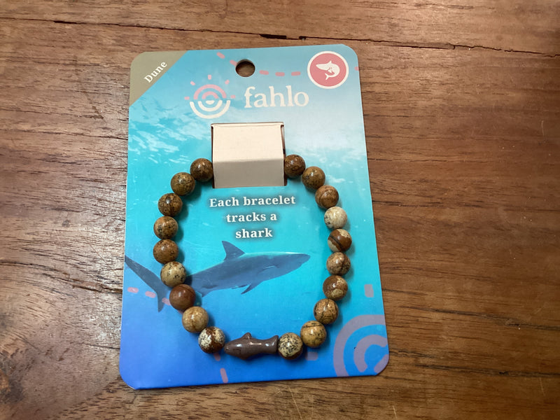 Fahlo Shark