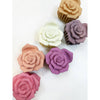Love and Repeat - Matte Hawaiian Plumeria Claws Clips