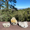 Sparkle Geode Buddies & Crystal Cluster Rock Friends 💎✨