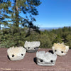 Sparkle Geode Buddies & Crystal Cluster Rock Friends 💎✨
