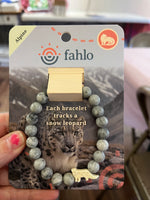 Fahlo - Snow Leopard