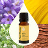 Worry Free Essential Oil Blend 10 mL