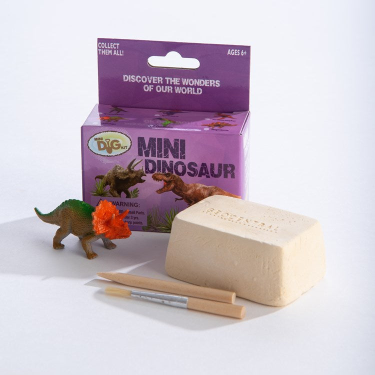 Mini Excavation Dinosaur Kit