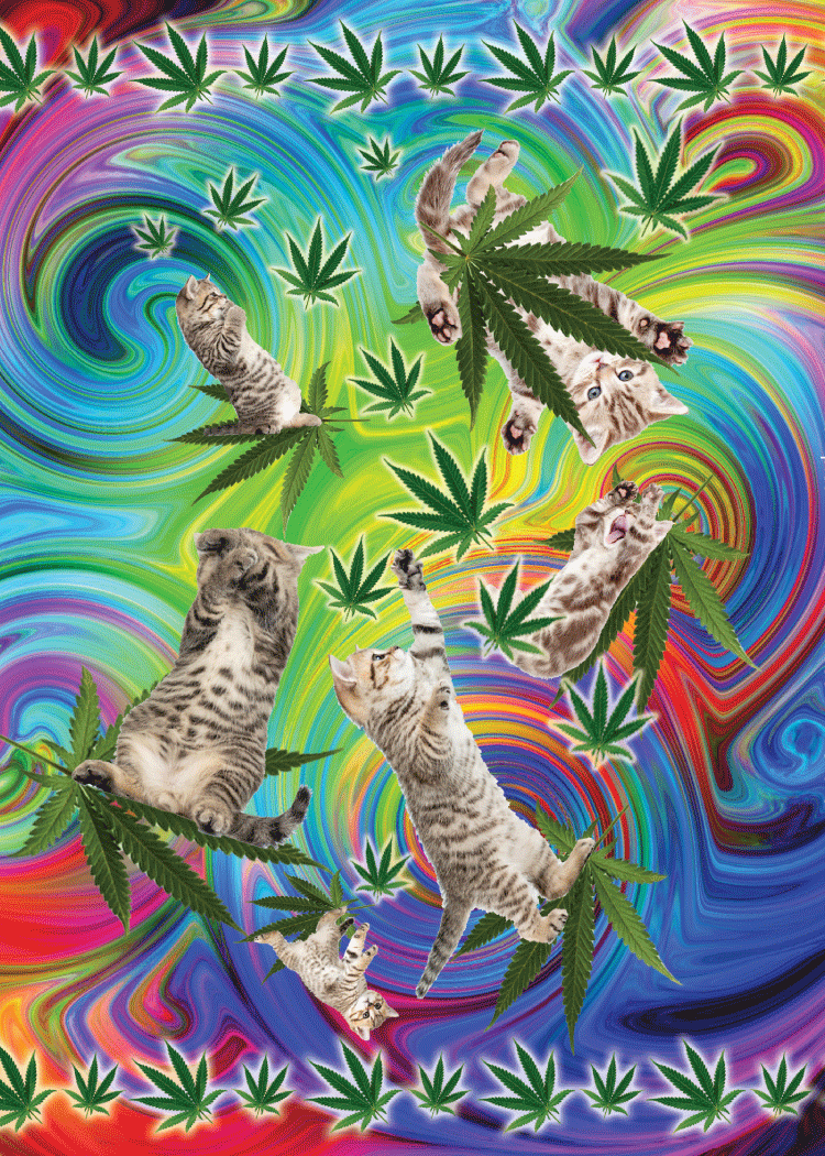 Magnet Jumbo WEED Cats with Pot Leaves
