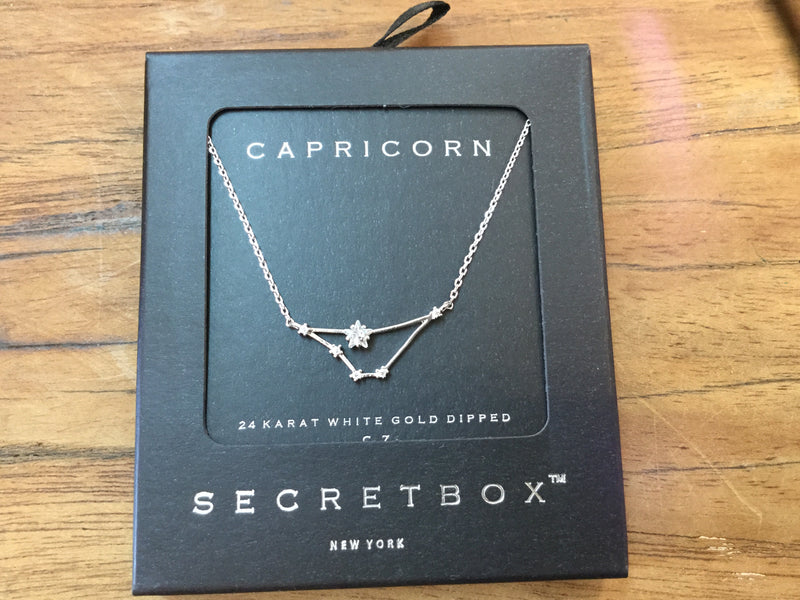 Secret Box- Zodiac silver